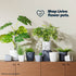 12cm Plant Pot White Sandstone - Set of 3